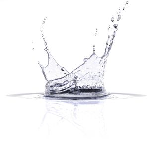 iStock_000003907033Small.jpg