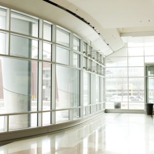 iStock_000008880436Small.jpg