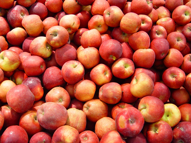 iStock_000000725907Small.jpg
