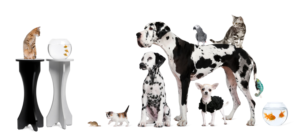 iStock_000013143413Small.jpg